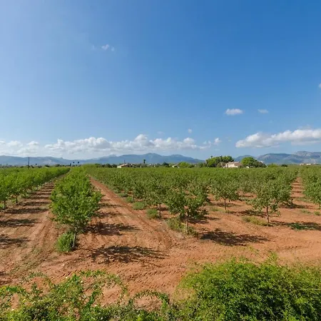 Villa Garballo